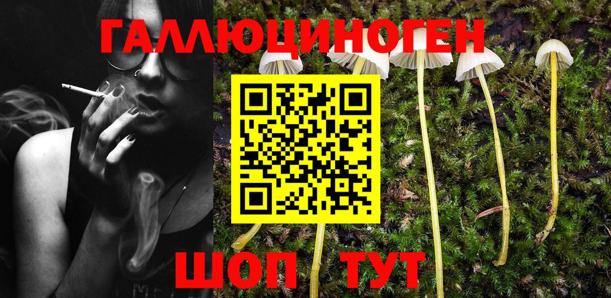 Галлюциногенные грибы Cubensis Казань