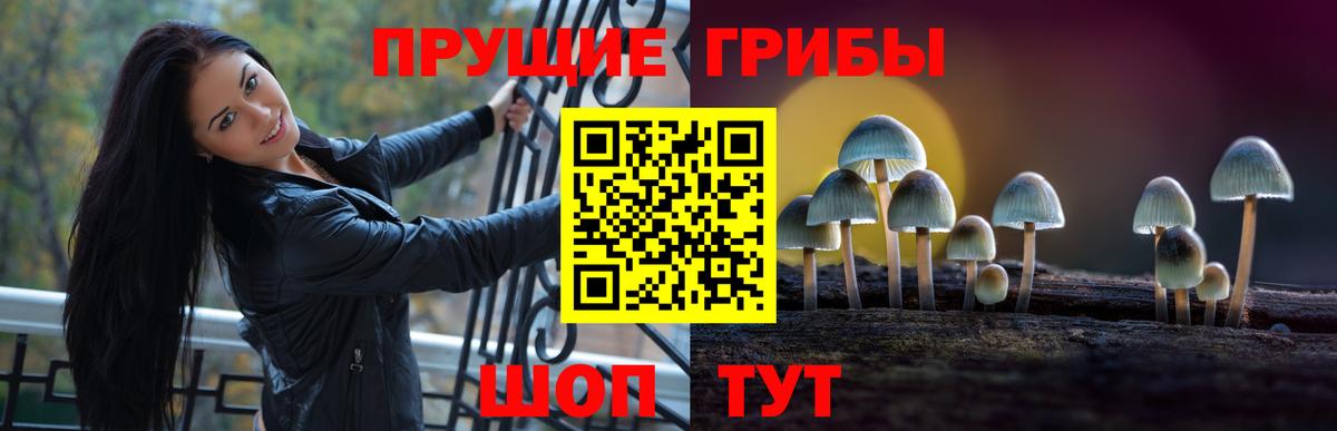 Галлюциногенные грибы MAGIC MUSHROOMS  Вход с VPN  Казань  Галлюциногенные грибы GOLDEN TEACHER 